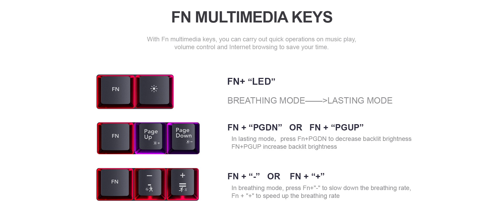 Taste Multimedia FN!