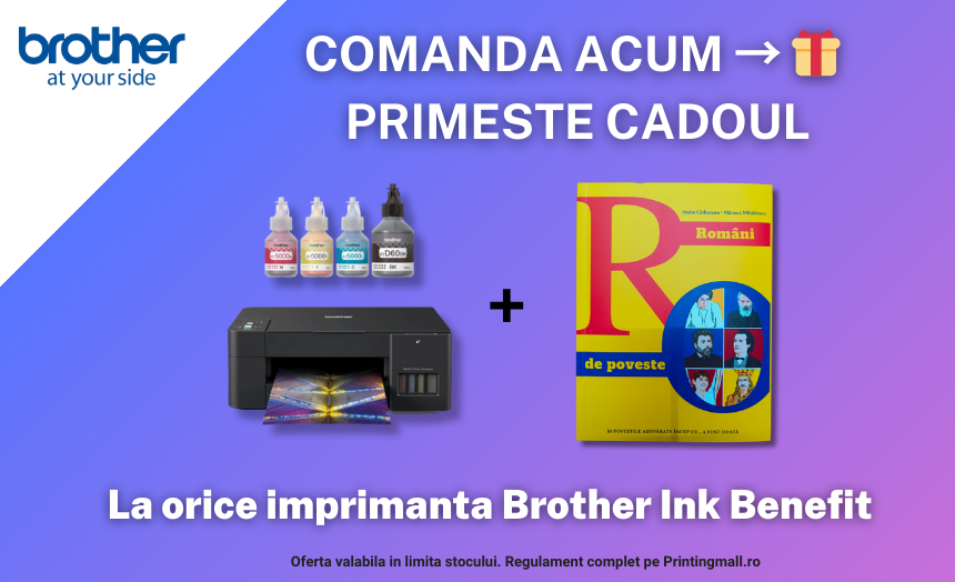 Printing Mall banner