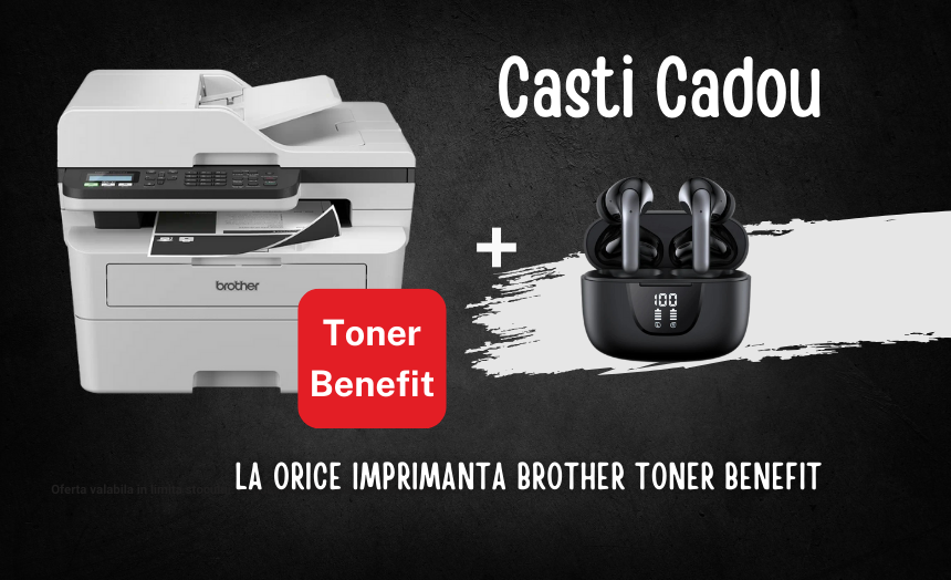 Printing Mall banner