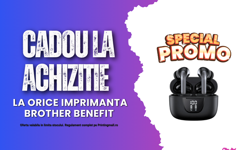 Printing Mall banner