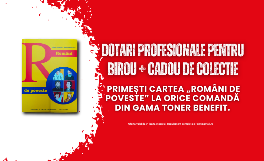 Printing Mall banner