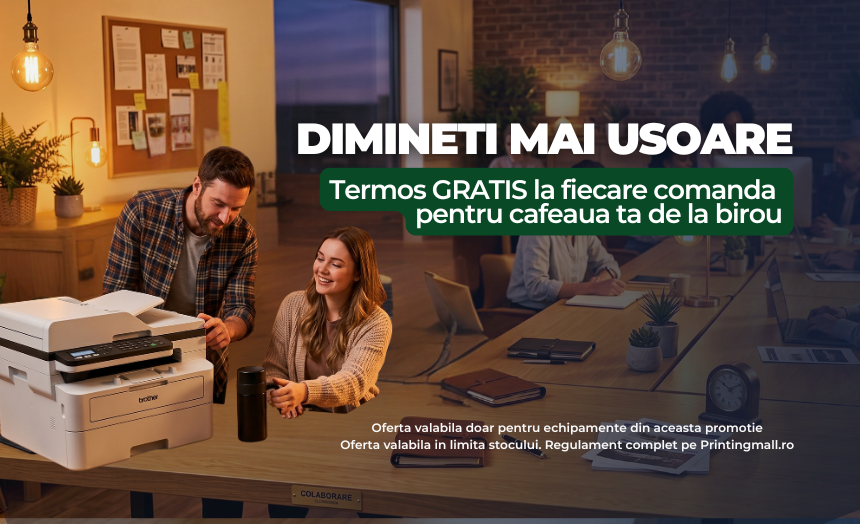 Printing Mall banner